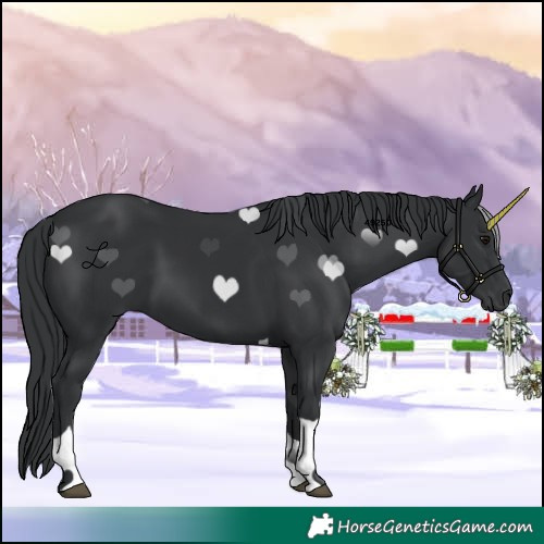 Horse Color:Black Tobiano 