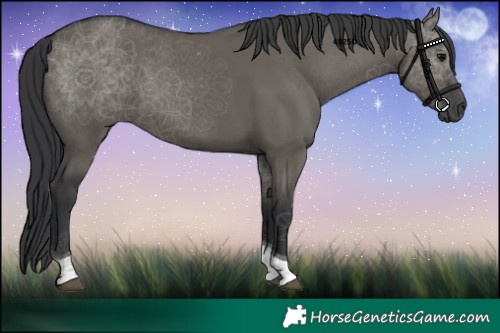 Horse Color:Grullo Tobiano 
