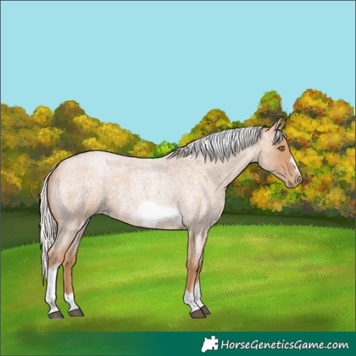 Horse Color:Silver Blue Roan Pearl Tobiano Frame 