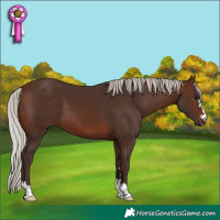 Horse Color:Silver Brown