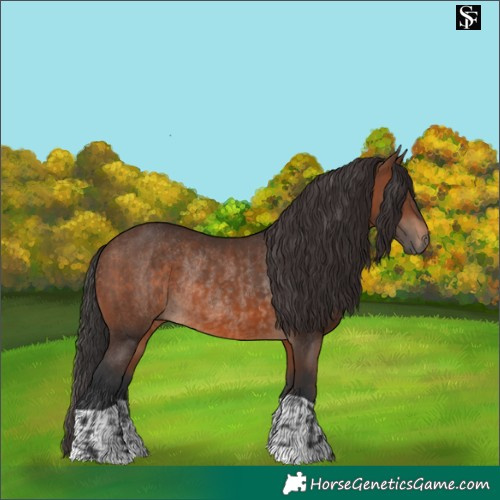 Horse Color:Brown Rabicano and Brown Rabicano