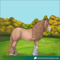 Horse Color:Gold Champagne Splash Tobiano