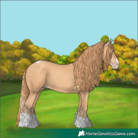 Horse Color:Gold Champagne Splash Tobiano 