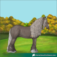 Horse Color:Silver Black