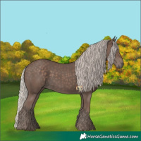 Horse Color:Silver Black 