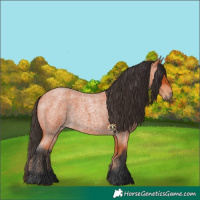 Horse Color:Bay Roan 