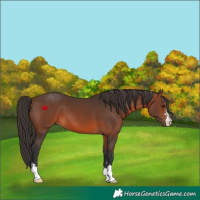 Horse Color:Brown 