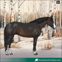 Horse Color:Brown 