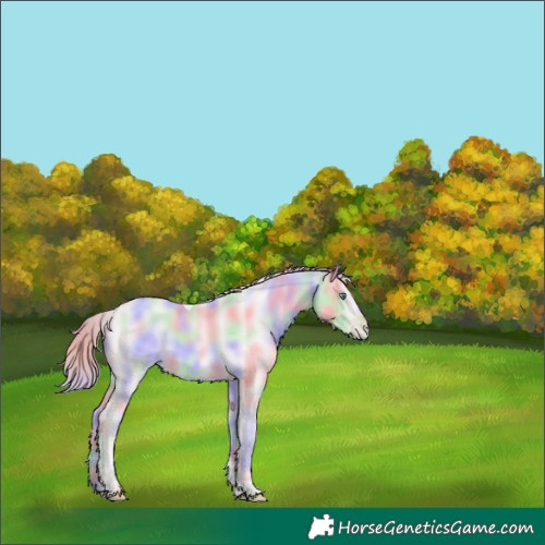 Horse Color:Platinum Nacre Smoky Black Pearl Tobiano 
