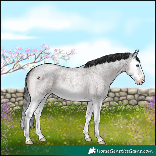 Horse Color:Platinum White Spotted Liver Red Roan Splash