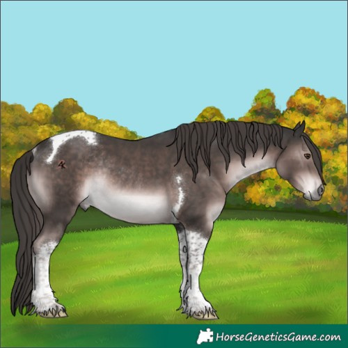 Horse Color:Platinum Liver Chestnut Tobiano Rabicano