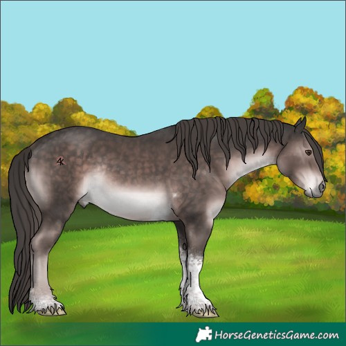 Horse Color:Platinum Liver Chestnut Tobiano Rabicano