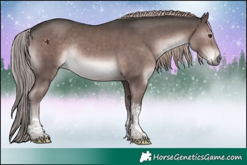 Horse Color:Platinum Liver Chestnut Tobiano Rabicano 