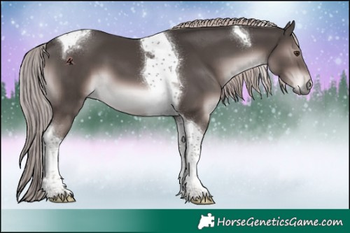 Horse Color:Platinum Liver Chestnut Tobiano 