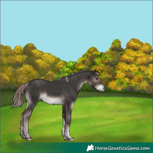 Horse Color:Platinum Liver Chestnut Tobiano Rabicano 