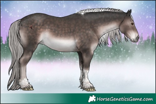 Horse Color:Platinum Liver Chestnut Tobiano 