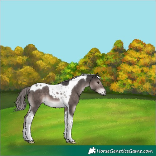 Horse Color:Platinum Liver Chestnut Tobiano 