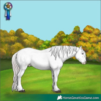 Horse Color:Chocolate Black Chinchilla Pearl Sabino 