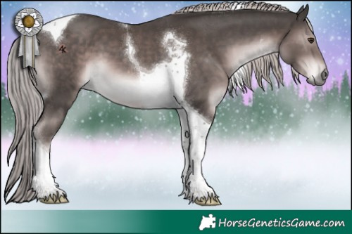 Horse Color:Platinum Liver Chestnut Tobiano 