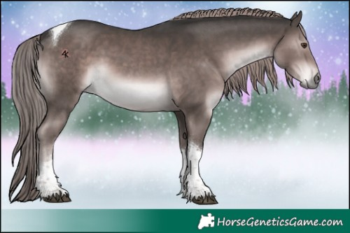 Horse Color:Platinum Liver Chestnut Tobiano 