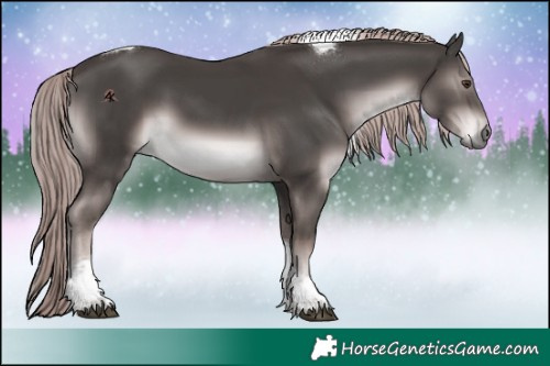 Horse Color:Platinum Liver Chestnut Tobiano 