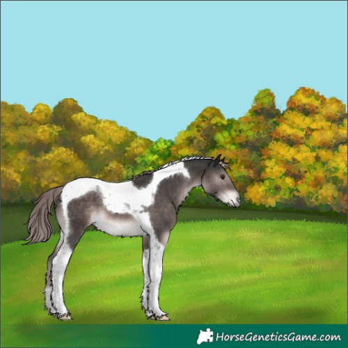 Horse Color:Platinum Liver Chestnut Tobiano 