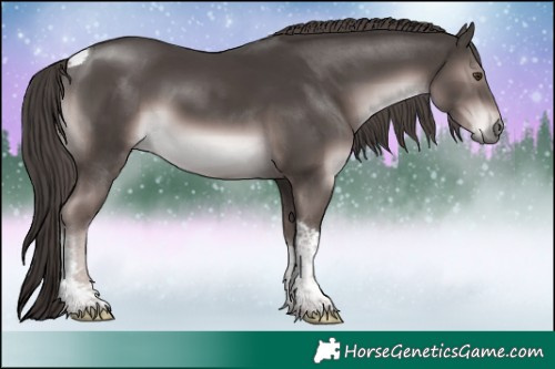 Horse Color:Platinum Liver Chestnut Tobiano