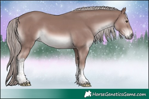 Horse Color:Platinum Chestnut Tobiano Rabicano