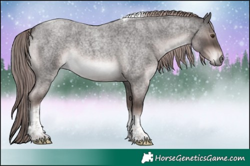 Horse Color:Platinum Liver Red Roan Tobiano 