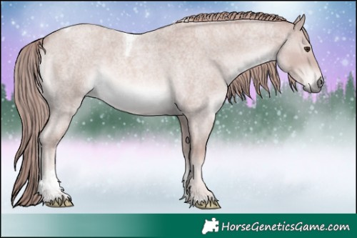 Horse Color:Platinum Red Roan Tobiano Rabicano