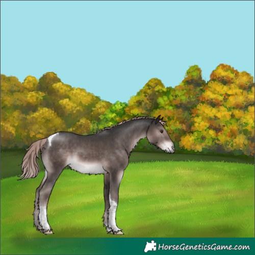 Horse Color:Platinum Liver Chestnut Tobiano 