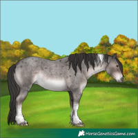 Horse Color:Platinum Liver Red Roan Tobiano Rabicano