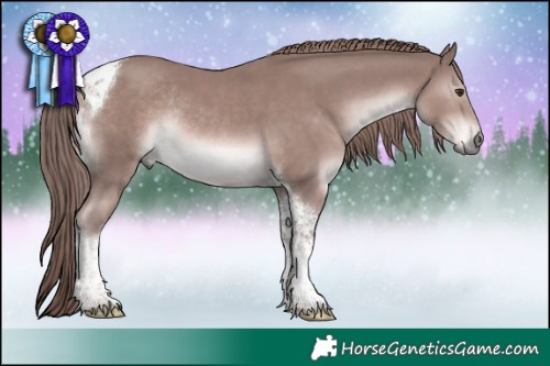 Horse Color:Platinum Chestnut Tobiano Rabicano 