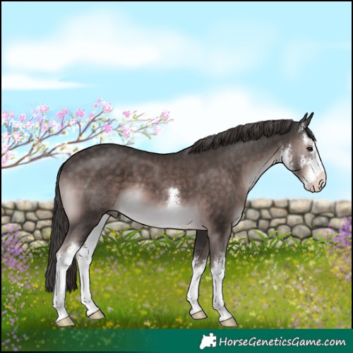 Horse Color:Platinum White Spotted Liver Chestnut 