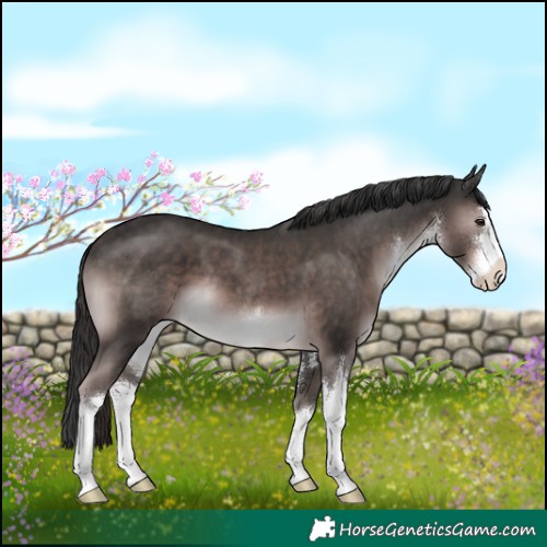 Horse Color:Platinum White Spotted Liver Chestnut 