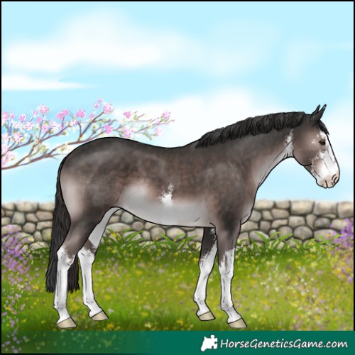 Horse Color:Platinum White Spotted Liver Chestnut 