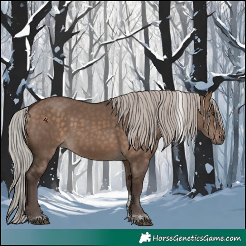 Horse Color:Silver Brown Dun Tobiano 