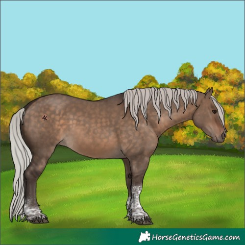 Horse Color:Silver Brown Dun Tobiano 