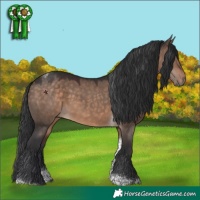 Horse Color:Brown Dun Tobiano 