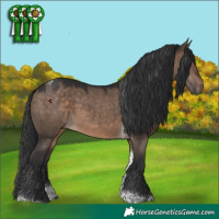 Horse Color:Brown Dun Tobiano