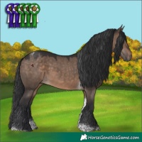 Horse Color:Brown Dun Tobiano 