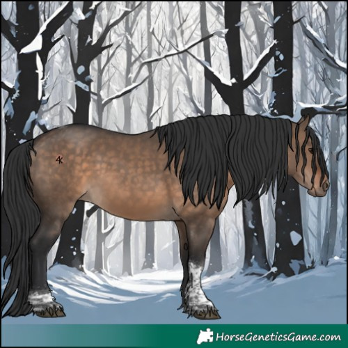 Horse Color:Brown Dun Tobiano 