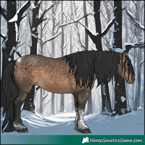 Horse Color:Brown Dun Tobiano 