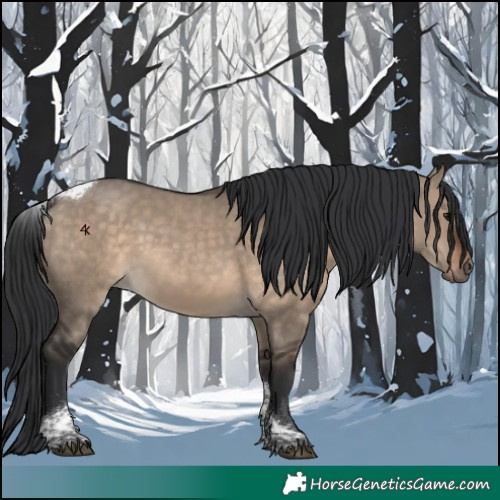 Horse Color:Brown Dun Tobiano