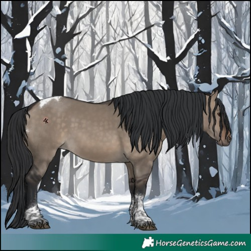 Horse Color:Brown Dun Tobiano 