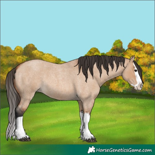 Horse Color:Bay Roan Dun Splash 