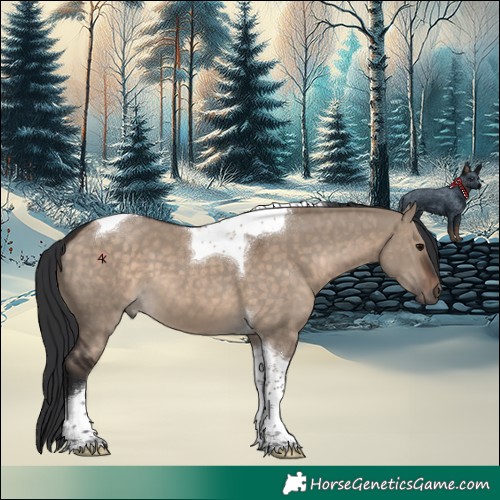 Horse Color:Brown Dun Tobiano 
