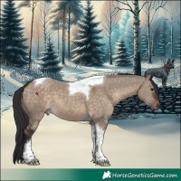 Horse Color:Brown Dun Tobiano