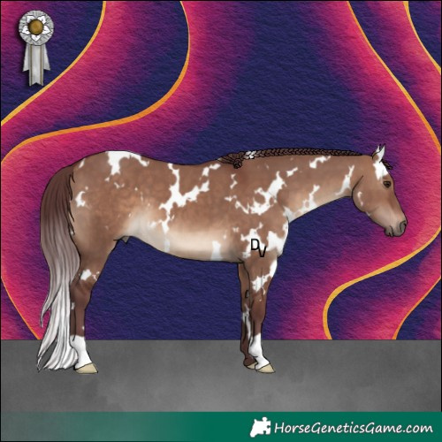 Horse Color:White Spotted Chocolate Brown Dun 