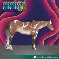 Horse Color:White Spotted Chocolate Brown Dun 